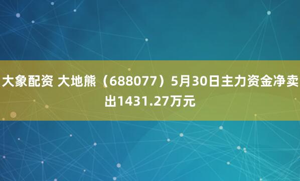 大象配资 大地熊（688077）5月30日主力资金净卖出1431.27万元