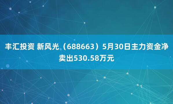 丰汇投资 新风光（688663）5月30日主力资金净卖出530.58万元