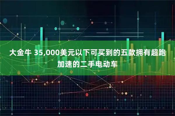 大金牛 35,000美元以下可买到的五款拥有超跑加速的二手电动车