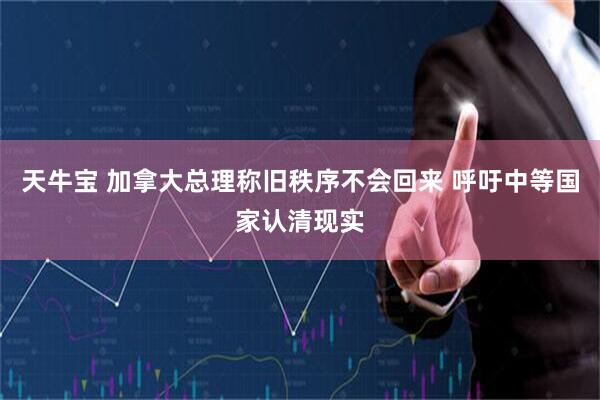 天牛宝 加拿大总理称旧秩序不会回来 呼吁中等国家认清现实
